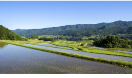 里山保全(イメージ)