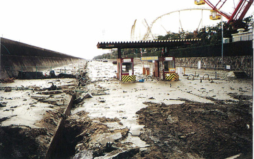 震災後の神戸ポートアイランド。南側護岸の墳砂